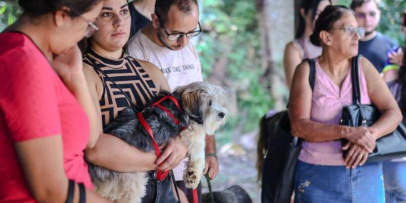 Design sem nome (10)